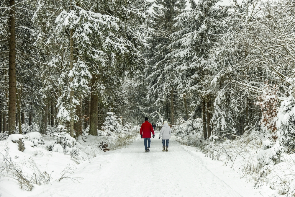 Winterwanderung Thüringer Wald