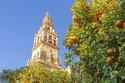 Stolzes Andalusien / mix